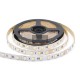 LED Strip 12v - IP20/IP65